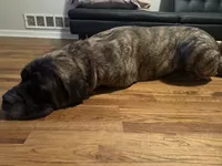 processed/7ba84649-e845-45de-8d2f-157d2c409f38/listing/2b4f92af-6f6f-462c-b4b8-1691ffd4eb30/622053f4-cd14-43c9-ac4f-7e33c5a4399b