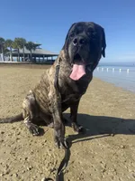 processed/7ba84649-e845-45de-8d2f-157d2c409f38/listing/2b4f92af-6f6f-462c-b4b8-1691ffd4eb30/a2ffc4e4-fadc-4e24-998b-20e8e78fc7b9