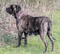 processed/7ba84649-e845-45de-8d2f-157d2c409f38/listing/2b4f92af-6f6f-462c-b4b8-1691ffd4eb30/d1b825c3-1e52-406b-bac7-8b0b74989fdb