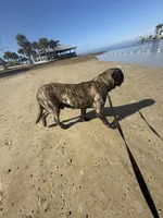 processed/7ba84649-e845-45de-8d2f-157d2c409f38/listing/2b4f92af-6f6f-462c-b4b8-1691ffd4eb30/fbb23098-a8a1-466d-b819-f8c862683b27