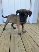 processed/7ba84649-e845-45de-8d2f-157d2c409f38/listing/31725cbf-12f1-4069-bdf6-a2b96530885a/8cdccd66-7b8d-4bd0-91d0-2391649c5c5e