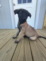 processed/7ba84649-e845-45de-8d2f-157d2c409f38/listing/31725cbf-12f1-4069-bdf6-a2b96530885a/988a67b3-9770-4a04-9bf1-ca1f9d754bf8