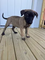 processed/7ba84649-e845-45de-8d2f-157d2c409f38/listing/31725cbf-12f1-4069-bdf6-a2b96530885a/ae87eb7d-8811-4695-b953-350cbb4e66e8