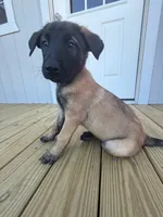 processed/7ba84649-e845-45de-8d2f-157d2c409f38/listing/31725cbf-12f1-4069-bdf6-a2b96530885a/c554ef2b-d639-4412-aed9-926f0f2b352a