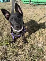 processed/7ba84649-e845-45de-8d2f-157d2c409f38/listing/3716679d-6b84-4c38-8fd7-05ed0889d07c/2b92ed1a-c877-42b1-a296-9511acdf5f8f