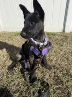 processed/7ba84649-e845-45de-8d2f-157d2c409f38/listing/3716679d-6b84-4c38-8fd7-05ed0889d07c/4ef75b2d-0978-47b0-baae-8b884c2483e7