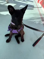 processed/7ba84649-e845-45de-8d2f-157d2c409f38/listing/3716679d-6b84-4c38-8fd7-05ed0889d07c/900f742a-dc3e-4160-807e-05b5e1d28214