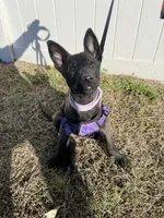 processed/7ba84649-e845-45de-8d2f-157d2c409f38/listing/3716679d-6b84-4c38-8fd7-05ed0889d07c/acabc077-691f-4d26-8f64-8c923138907b