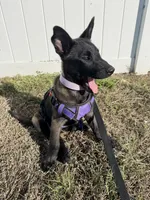 processed/7ba84649-e845-45de-8d2f-157d2c409f38/listing/3716679d-6b84-4c38-8fd7-05ed0889d07c/e37cce61-965b-4a1f-ad8b-130e3da68349