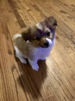 processed/7ba84649-e845-45de-8d2f-157d2c409f38/listing/58cb570f-b2b9-4378-9196-5734889b9349/6c856c6c-3118-4611-95c2-49b56908bb86