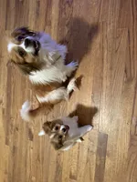 processed/7ba84649-e845-45de-8d2f-157d2c409f38/listing/58cb570f-b2b9-4378-9196-5734889b9349/d52124a7-3fa7-46ad-97e5-c10cde7d4e9a