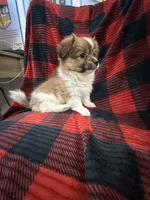 processed/7ba84649-e845-45de-8d2f-157d2c409f38/listing/58cb570f-b2b9-4378-9196-5734889b9349/eb02bed0-2bb8-4075-8482-84d321083691