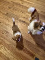 processed/7ba84649-e845-45de-8d2f-157d2c409f38/listing/58cb570f-b2b9-4378-9196-5734889b9349/f98d05ff-194e-423c-8cfd-83a8d428acf9