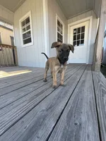 processed/7ba84649-e845-45de-8d2f-157d2c409f38/listing/5fd41b0c-c803-408c-b653-59c51aaa1d6a/0b449b7b-cb90-4cd0-b8ad-3844bc66a724