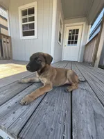 processed/7ba84649-e845-45de-8d2f-157d2c409f38/listing/5fd41b0c-c803-408c-b653-59c51aaa1d6a/54ea0ed4-2e48-4d2a-bfaf-7d70af507254