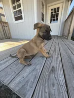 processed/7ba84649-e845-45de-8d2f-157d2c409f38/listing/5fd41b0c-c803-408c-b653-59c51aaa1d6a/682832f9-3e7c-46fc-8630-805c0c3b6ac6