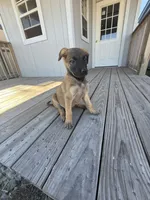 processed/7ba84649-e845-45de-8d2f-157d2c409f38/listing/5fd41b0c-c803-408c-b653-59c51aaa1d6a/6cc49c3d-18d4-4240-af13-110322d0e164