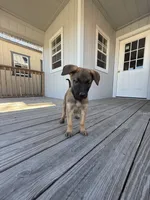 processed/7ba84649-e845-45de-8d2f-157d2c409f38/listing/5fd41b0c-c803-408c-b653-59c51aaa1d6a/ab077296-4acc-4b82-974d-05bb63c20b63