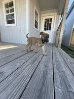 processed/7ba84649-e845-45de-8d2f-157d2c409f38/listing/5fd41b0c-c803-408c-b653-59c51aaa1d6a/f235857d-960b-4401-a0cc-69fe34b78ad1