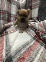 processed/7ba84649-e845-45de-8d2f-157d2c409f38/listing/63141bae-22d8-4c77-ae75-8991d9f45364/08b419f2-5889-439b-af35-94aa89997c55