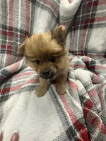 processed/7ba84649-e845-45de-8d2f-157d2c409f38/listing/63141bae-22d8-4c77-ae75-8991d9f45364/15d55bba-b442-464b-8d65-9e359099dbce