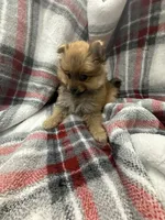 processed/7ba84649-e845-45de-8d2f-157d2c409f38/listing/63141bae-22d8-4c77-ae75-8991d9f45364/e3a062bf-8fad-4915-be6f-02a2824be300