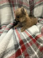 processed/7ba84649-e845-45de-8d2f-157d2c409f38/listing/63141bae-22d8-4c77-ae75-8991d9f45364/fae7eac2-06e0-4039-bae1-c7efb62eb81e