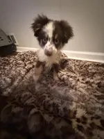 processed/7ba84649-e845-45de-8d2f-157d2c409f38/listing/89bd1d61-bcbf-43ac-b041-03ef16ce6cb6/0daf9cbb-2de4-47bb-917f-47ae72941b92