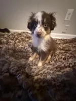 processed/7ba84649-e845-45de-8d2f-157d2c409f38/listing/89bd1d61-bcbf-43ac-b041-03ef16ce6cb6/5843b007-b6d2-440c-aa52-d751b0e3c2d7