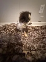 processed/7ba84649-e845-45de-8d2f-157d2c409f38/listing/89bd1d61-bcbf-43ac-b041-03ef16ce6cb6/81b3e7c8-89fd-4214-a28b-5c6a0e2d81d9