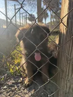 processed/7ba84649-e845-45de-8d2f-157d2c409f38/listing/9e9c26e6-b1dd-418b-b764-050d6e58d2ff/94169af6-14d0-4fdf-90db-54064c4f8b9b