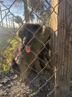 processed/7ba84649-e845-45de-8d2f-157d2c409f38/listing/9e9c26e6-b1dd-418b-b764-050d6e58d2ff/bca37ebe-42b2-4b25-93d9-9f3139a13baa