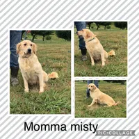 processed/7bb79485-0278-4ea1-85fa-47c556f42216/facility/0b7bd5a3-c279-4d27-997d-98cf5dcd35c1