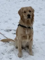 processed/7bb79485-0278-4ea1-85fa-47c556f42216/facility/185155bb-8418-4100-95a4-67032fe3ca2b