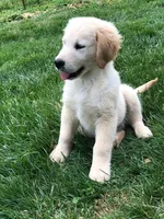 processed/7bb79485-0278-4ea1-85fa-47c556f42216/facility/1fc25521-2a9f-4dab-a5a6-e44d3889ba23