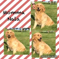 processed/7bb79485-0278-4ea1-85fa-47c556f42216/facility/b061ca4a-ee48-4c58-b231-50fd78c210b1