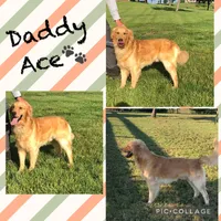 processed/7bb79485-0278-4ea1-85fa-47c556f42216/facility/b8526352-1357-48a5-9161-9183f9ed85da