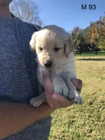 processed/7bb79485-0278-4ea1-85fa-47c556f42216/facility/cc8da108-4bd5-4ef5-bfe1-07b1a4eb5bcf