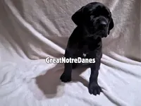 processed/7bba353f-95e3-4c96-856a-65d10e10709e/listing/1e7db785-266f-4c70-a208-0375a641bb50/77306e62-286e-449e-ad56-d0e2e7be4171