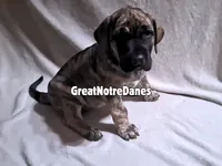 processed/7bba353f-95e3-4c96-856a-65d10e10709e/listing/46b6dbc9-db00-4738-bf8c-2166a3e4ed3a/199ff3d6-16fe-4b8c-bcf0-342251b8b8c1