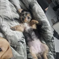 processed/7bc01bf1-c662-4ca1-b94f-6314a10dc5c7/listing/0faff8db-507b-4b39-8a0e-961ed9d4aa67/24ed7f7a-2de0-4f25-adcb-bae7f348878b