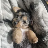 processed/7bc01bf1-c662-4ca1-b94f-6314a10dc5c7/listing/0faff8db-507b-4b39-8a0e-961ed9d4aa67/ff44fb56-b67e-48c3-be2f-4747340a9162