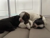 processed/7bc05c73-3cbe-441e-9810-a4a72d5c26fe/facility/0e5f137a-0fa6-4cf3-abd0-11660ef229ca