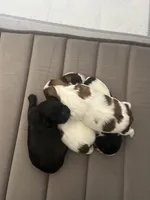 processed/7bc05c73-3cbe-441e-9810-a4a72d5c26fe/facility/18b3c2a3-2d54-4a13-8e5c-89ec993c0f41