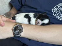 processed/7bc05c73-3cbe-441e-9810-a4a72d5c26fe/facility/e564b9cd-c81c-450b-bcfa-1dedd6a7f5fd