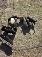 processed/7bce2a04-b751-4aea-90cc-e391615aacce/listing/94ae8846-69dc-48c5-b87b-d314470518e2/0ddbb637-fa45-4149-bbf0-60f88d072162