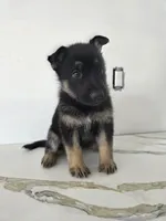 processed/7bce2a04-b751-4aea-90cc-e391615aacce/listing/94ae8846-69dc-48c5-b87b-d314470518e2/3418d6fa-f870-49aa-a827-7d59054d9008