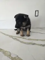 processed/7bce2a04-b751-4aea-90cc-e391615aacce/listing/94ae8846-69dc-48c5-b87b-d314470518e2/a4e2bd84-9d02-442a-9687-d0dfe3ee3715