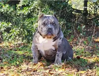 processed/7bd03d66-96e2-4b22-af8d-2fc44559aee7/facility/8d0d8e71-ac33-41d6-a777-0166d0942b49