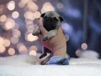 processed/7bd03d66-96e2-4b22-af8d-2fc44559aee7/facility/97f6a0dc-71b4-4b4d-a89c-7da8d0c084af